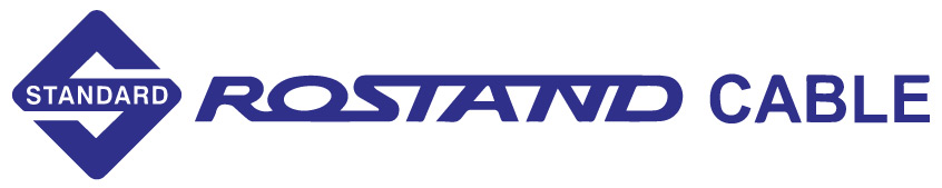 Standard-logo-for-web-4